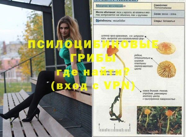 кокаин VHQ Алексеевка