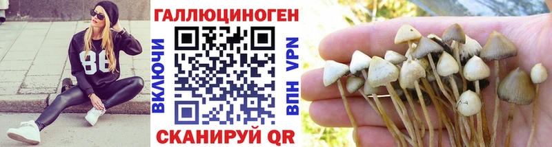 Галлюциногенные грибы Psilocybe  Переславль-Залесский 